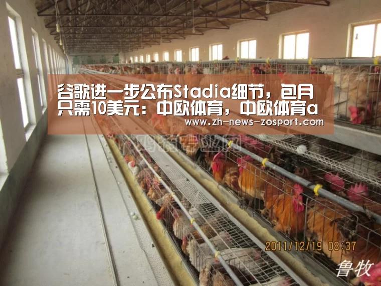 谷歌进一步公布Stadia细节,包月只需10美元:中欧体育,中欧体育app,中欧体育官网,中欧体育官网入口(图2) 中欧体育,中欧体育app,中欧体育官网,中欧体育官网入口