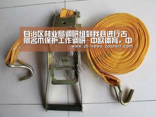 自治区林业局调研组到我县进行古树名木保护工作调研-中欧体育,中欧体育app,中欧体育官网,中欧体育官网入口(图2) 中欧体育,中欧体育app,中欧体育官网,中欧体育官网入口