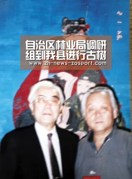 自治区林业局调研组到我县进行古树名木保护工作调研-中欧体育,中欧体育app,中欧体育官网,中欧体育官网入口(图1) 中欧体育,中欧体育app,中欧体育官网,中欧体育官网入口