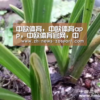 中欧体育,中欧体育app,中欧体育官网,中欧体育官网入口-谷歌官方开启GoogleI/O2018开发者大会报名注册申请(图3) 中欧体育,中欧体育app,中欧体育官网,中欧体育官网入口