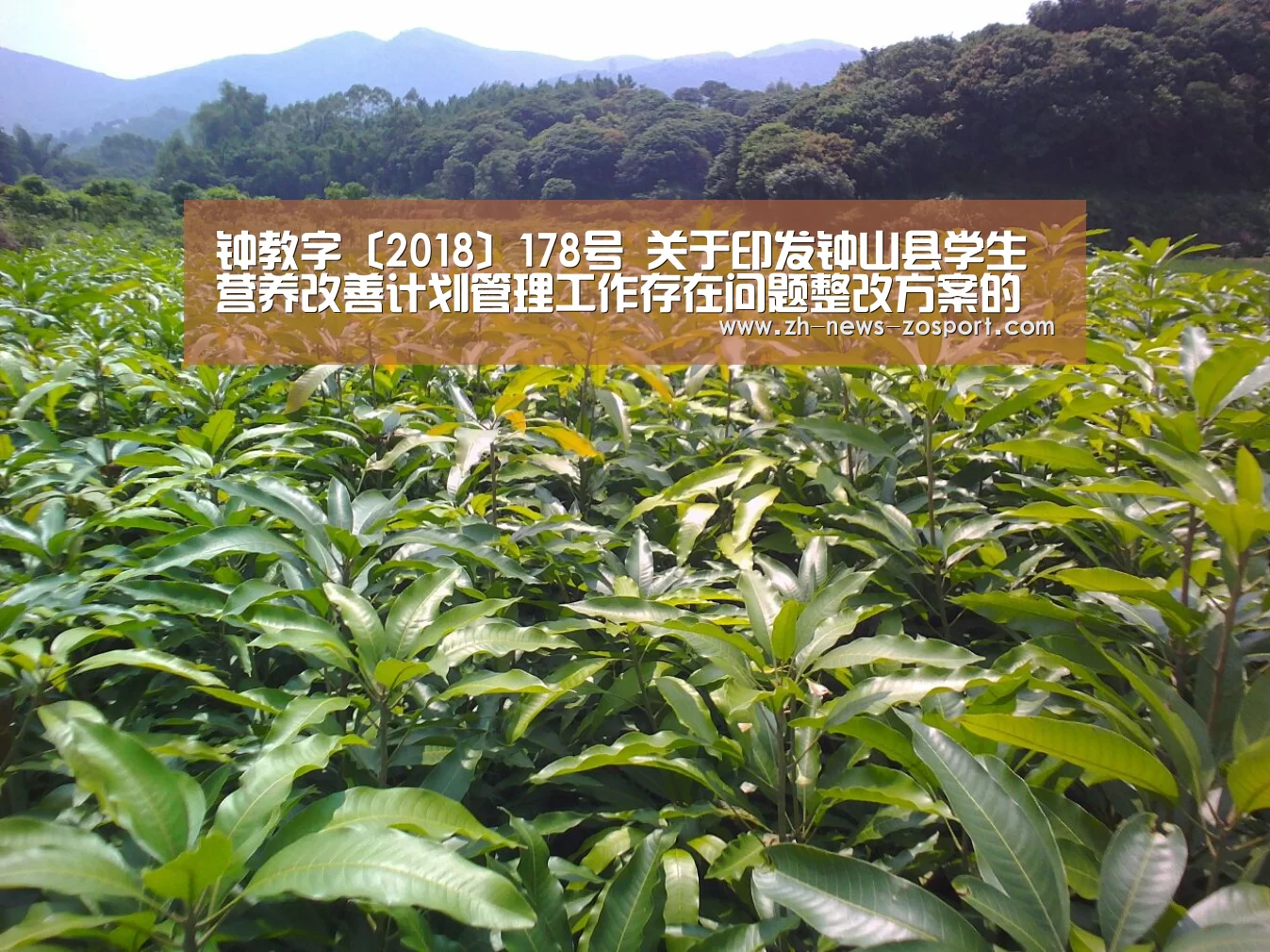中欧体育，中欧体育app，中欧体育官网，中欧体育官网入口